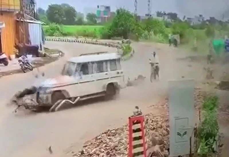 Ảnh cắt từ clip.
