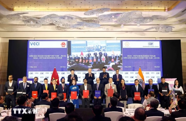 Làn sóng hợp tác, đầu tư tỷ đô giữa các ‘sếu đầu đàn’ Việt Nam - Ấn Độ