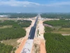 TP Đồng Nai sử dụng 4.300ha đất cao su làm các dự án trọng điểm