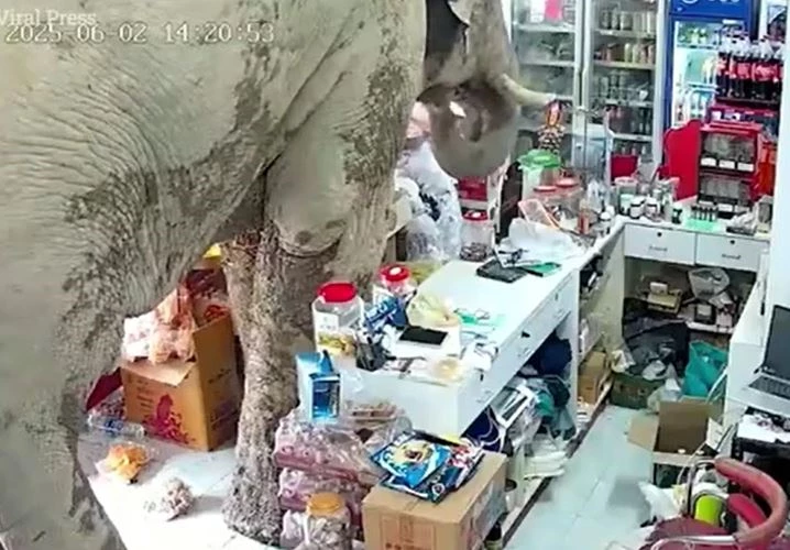 Ảnh cắt từ clip.