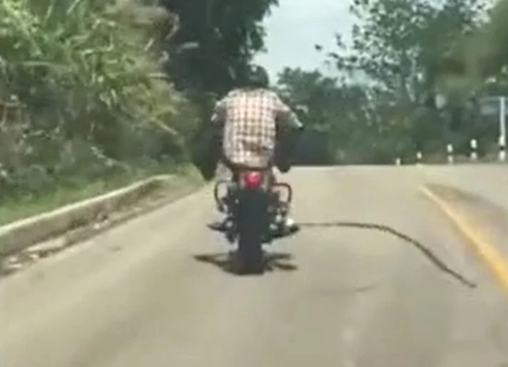 Ảnh cắt từ clip.