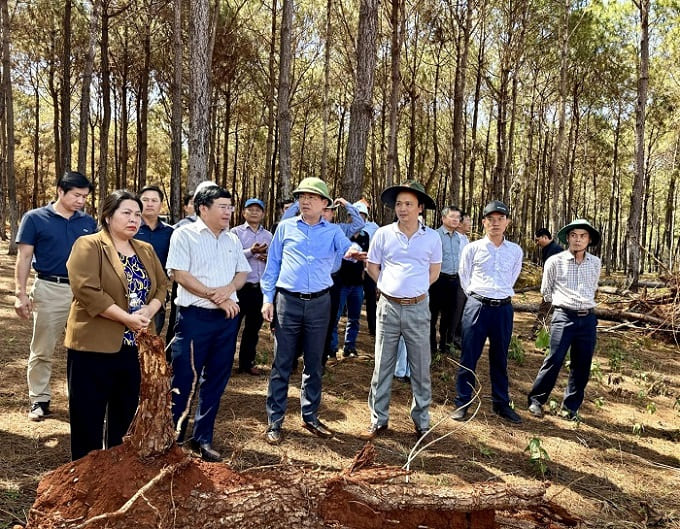 Gia Lai tăng tốc mở không gian phát triển mới khu vực phía Tây