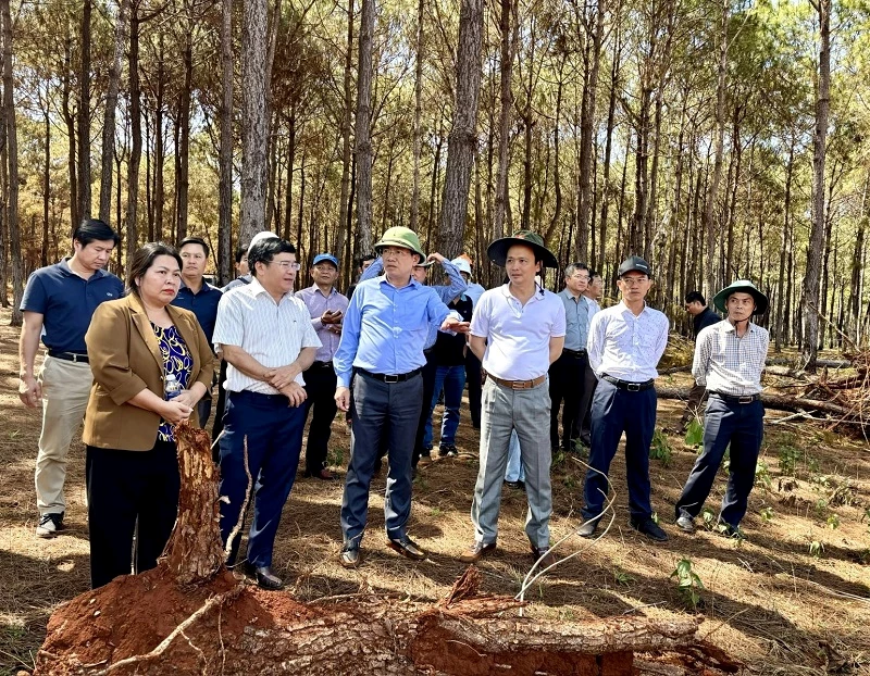  dự án Quần thể đô thị nghỉ dưỡng giải trí và sân golf FLC Pleiku Golf Club & Luxury City Resort tại xã Đak Đoa.