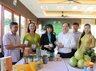 An giang tăng tốc chuẩn bị cho hội chợ Tịnh Biên 2026