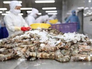 Mỹ kết luận sơ bộ về vụ chống bán phá giá tôm Việt