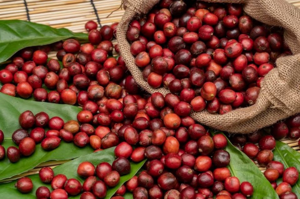 Giá nông sản ngày 14/5: Cà phê đảo chiều giảm, hồ tiêu tăng nhẹ