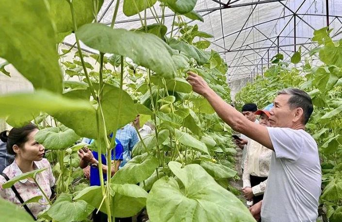 Số hóa nông nghiệp mở lối cho nông sản xứ Thanh bứt phá