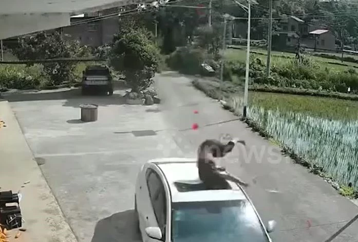 Ảnh cắt từ clip.