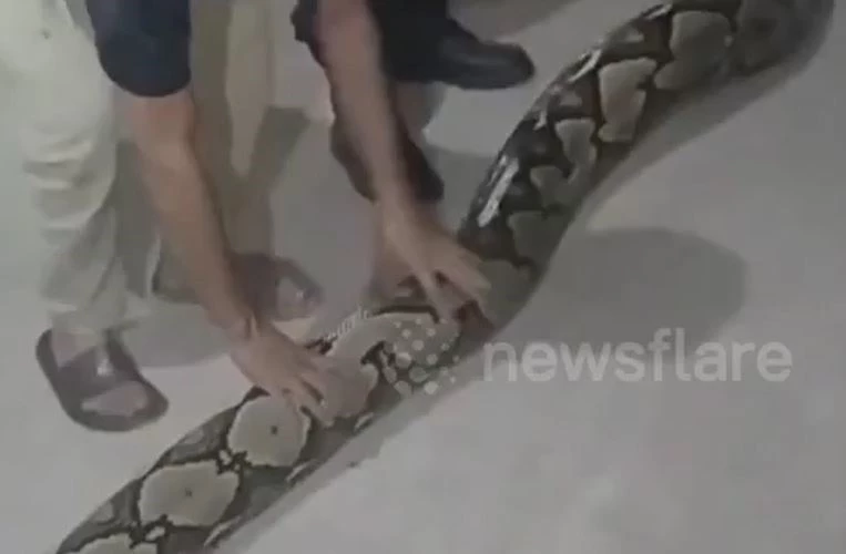Ảnh cắt từ clip.