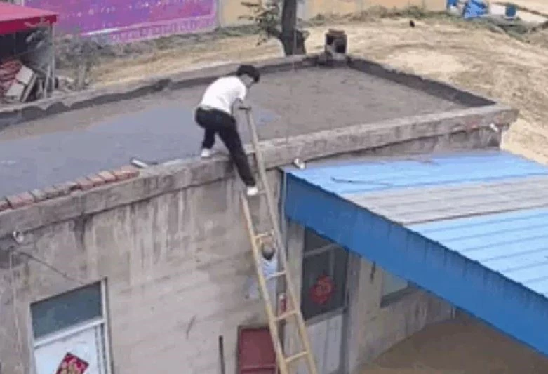 Ảnh cắt từ clip.