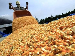 Cần làm rõ căn cứ đánh giá rủi ro sản phẩm, hàng hóa