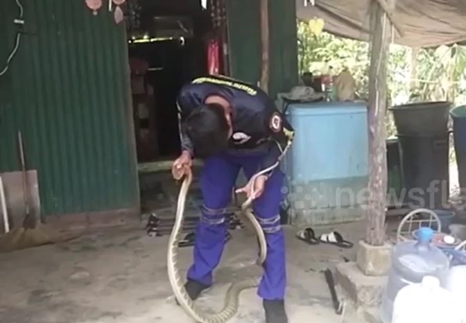 Ảnh cắt từ clip.