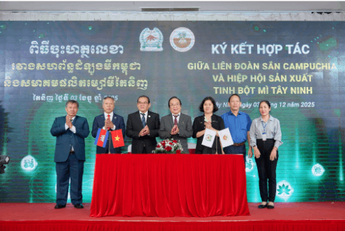ESG - Chìa khóa để ngành sắn Việt Nam hội nhập toàn cầu