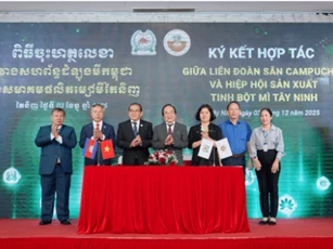 ESG - Chìa khóa để ngành sắn Việt Nam hội nhập toàn cầu