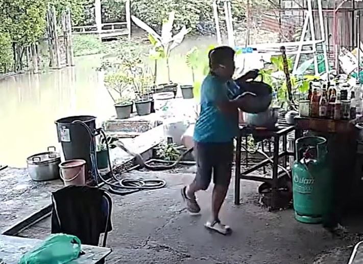 Thấy rắn hổ mang chúa ngóc đầu trước bếp, người phụ nữ hoảng loạn tháo chạy