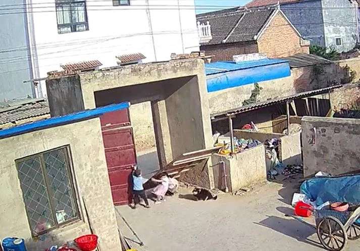 Ảnh cắt từ clip.
