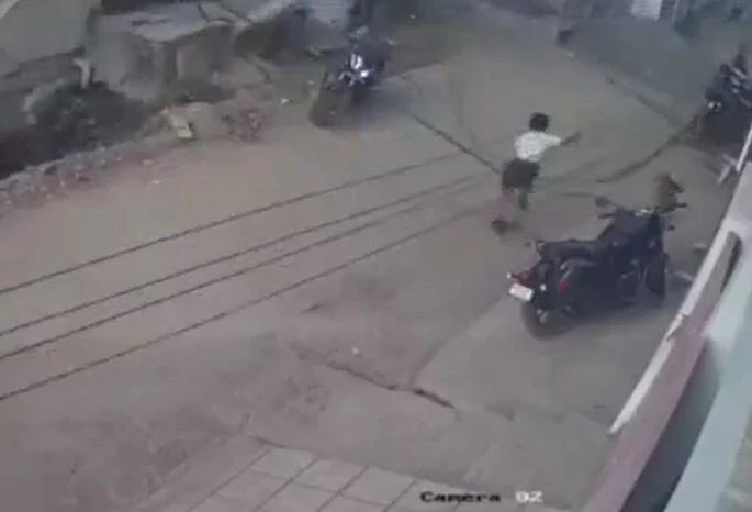 Ảnh cắt từ clip.