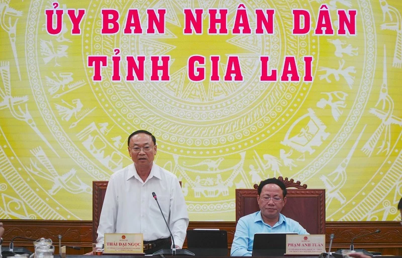 Ông Thái Đại Ngọc - Bí thư Tỉnh ủy Gia Lai phát biểu tại cuộc họp.