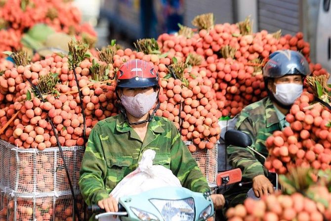 Bộ Công Thương yêu cầu hỗ trợ tiêu thụ vải, tránh ùn tắc cửa khẩu