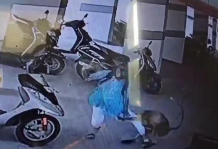 Ảnh cắt từ clip.