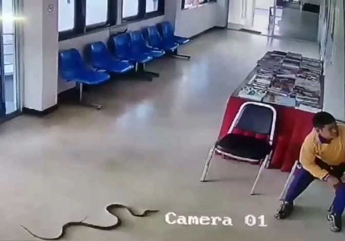Ảnh cắt từ clip.