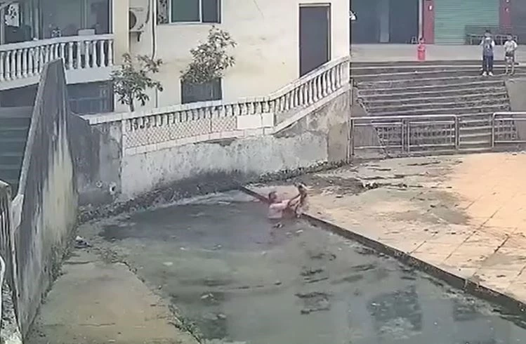 Ảnh cắt từ clip.