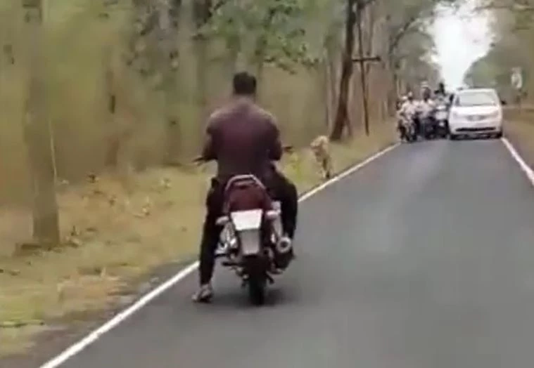 Ảnh cắt từ clip.