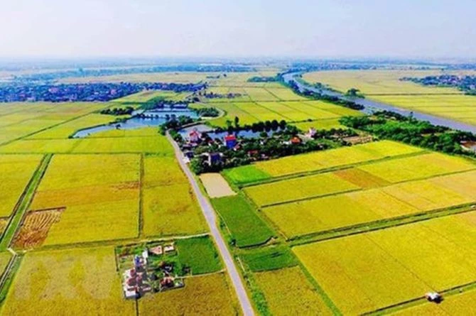 Bộ Tài chính đang yêu cầu các địa phương tính, tính lại tiền sử dụng đất với trường hợp chuyển mục đích từ đất vườn thành đất ở. Ảnh minh họa. Bộ Tài chính đang yêu cầu các địa phương tính, tính lại tiền sử dụng đất với trường hợp chuyển mục đích từ đất vườn thành đất ở. Ảnh minh họa.