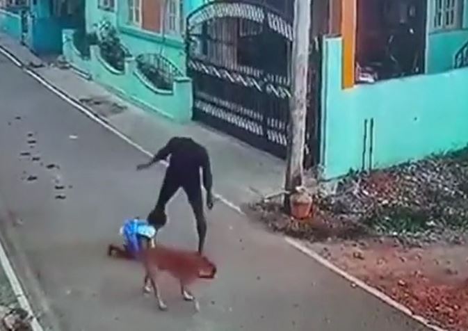 Bé gái bất ngờ bị đàn con chó tấn công và màn giải cứu gay cấn