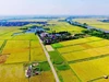 Bộ Tài chính đôn đốc địa phương sớm tính lại tiền sử dụng đất theo quy định mới
