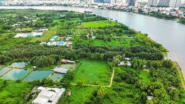 TP Hồ Chí Minh thành lập Ban Bồi thường, giải phóng mặt bằng