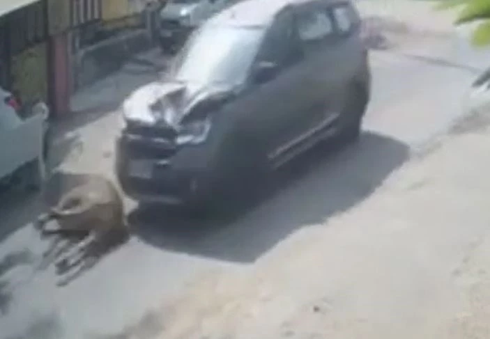 Ảnh cắt từ clip.