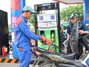 Chủ tịch Hiệp hội Nhiên liệu sinh học: Xăng E10 thích nghi tốt với động cơ xe tại Việt Nam