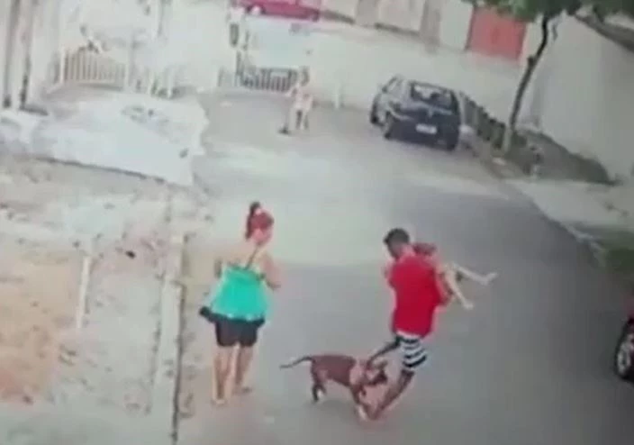 Ảnh cắt từ clip.