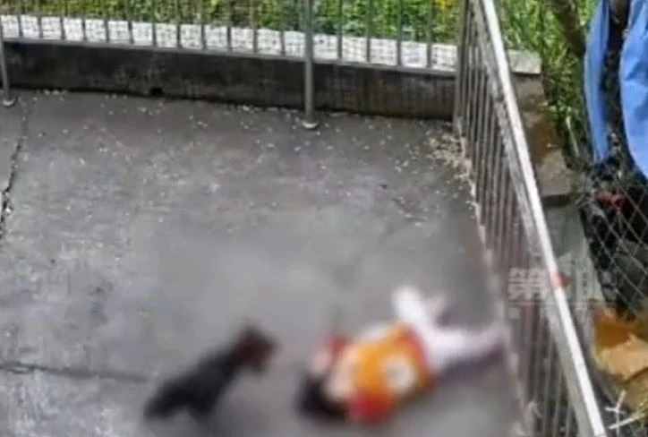 Ảnh cắt từ clip.