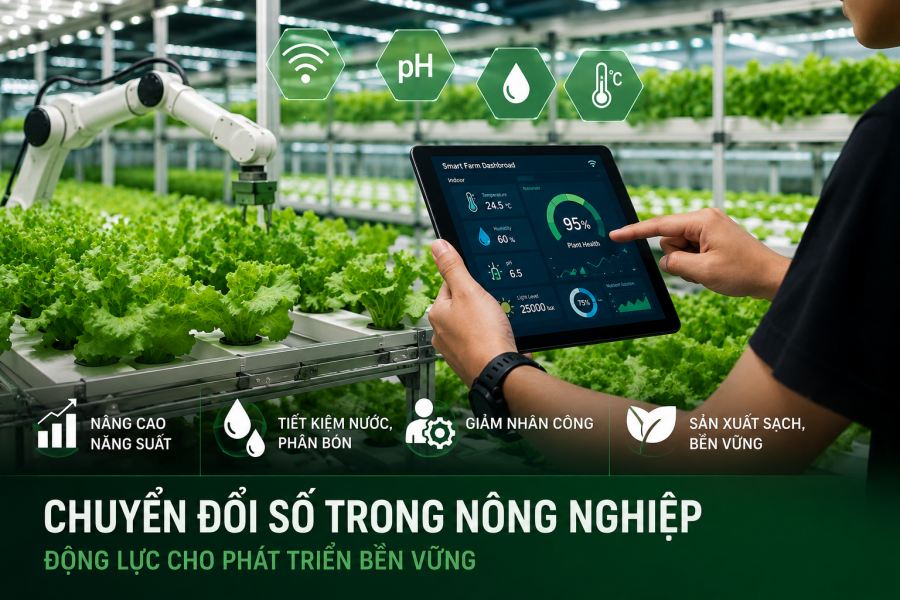 Doanh nghiệp nông nghiệp công nghệ cao tìm động lực tăng trưởng từ chuyển đổi số