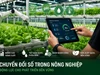 Doanh nghiệp nông nghiệp công nghệ cao tìm động lực tăng trưởng từ chuyển đổi số