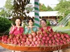 Lễ hội Trái cây Đồng Tháp mở hướng nâng tầm nông sản vùng Đồng bằng sông Cửu Long