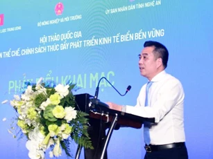 Đấu giá quyền sử dụng khu vực biển để phát triển kinh tế biển bền vững Việt Nam