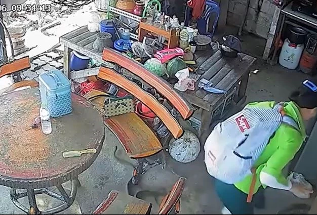 Ảnh cắt từ clip.