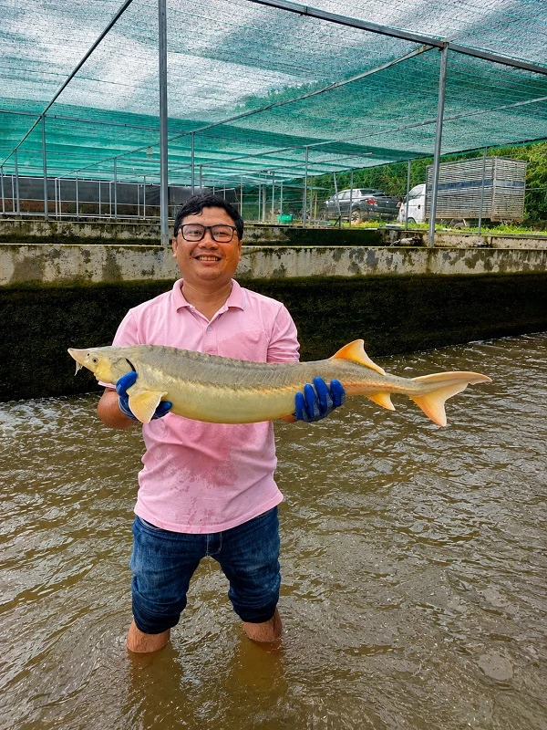 Nuôi cá tầm là một trong những ngành kinh tế mũi nhọn của xã Đam Rông 2.