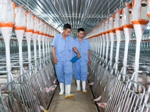 BAF Việt Nam bị phạt hơn 820 triệu đồng