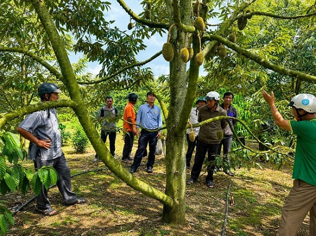 Nâng cao kiến thức về xây dựng nông thôn mới ở Đam Rông 2