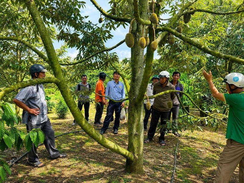 Trung tâm Dịch vụ tổng hợp xã Đam Rông 2 đã tổ chức các lớp tập huấn chuyển giao khoa học, kỹ thuật từ nguồn vốn sự nghiệp kinh tế năm 2026 (đợt 1) cho bà con nông dân tại thôn Rô Men và thôn 2. 