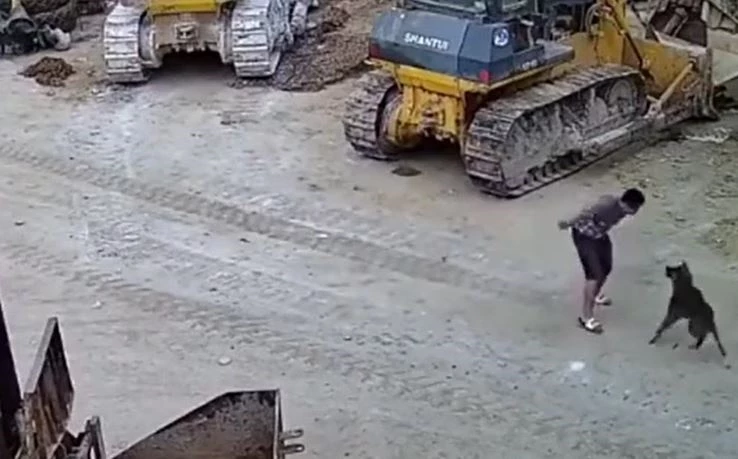 Ảnh cắt từ clip.