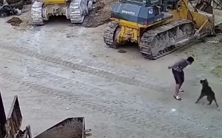 Bị chó dữ lao vào tấn công, người đàn ông tung đòn phản xạ khiến nhiều người kinh ngạc