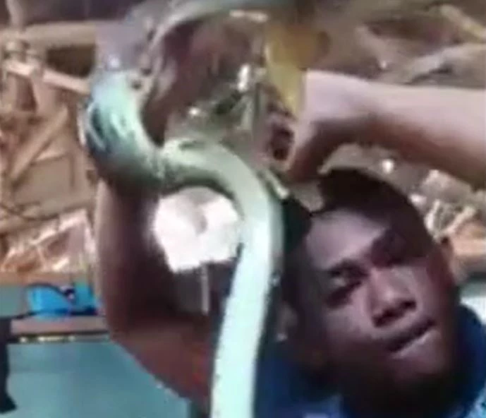 Ảnh cắt từ clip.