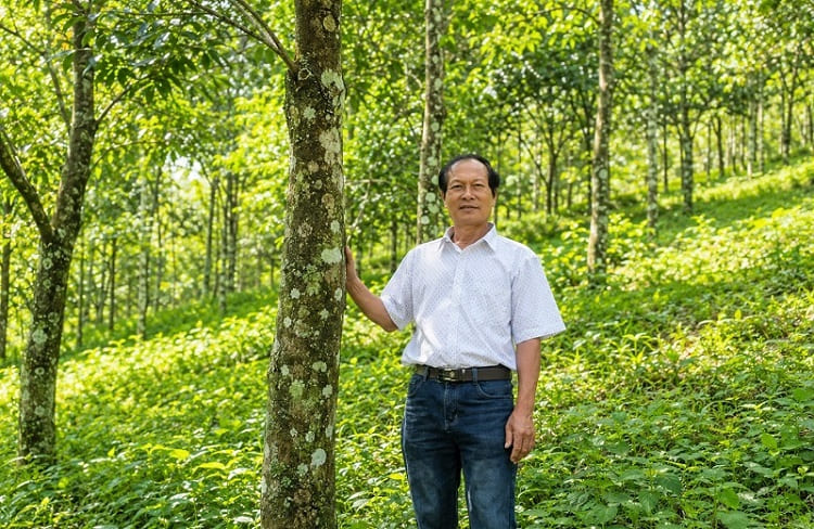 Người bền bỉ giữ rừng ở Liêng Srônh, làm nên hương trầm OCOP