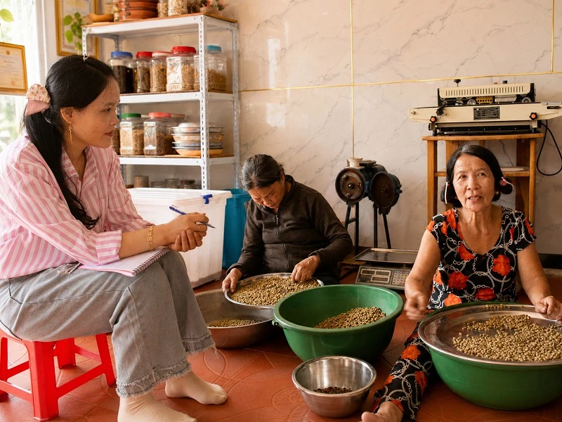 Quy trình phân loại cà phê nhân thủ công tại HUSA. Quy trình phân loại cà phê nhân thủ công tại HUSA.