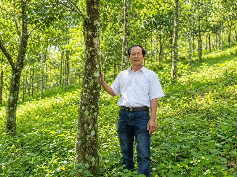 Ông Hoàng Duy Thành - Công ty Cổ phần Dó bầu hương Quảng Nam bên rừng gió bầu tại Liêng Srônh Ông Hoàng Duy Thành - Công ty Cổ phần Dó bầu hương Quảng Nam bên rừng gió bầu tại Liêng Srônh